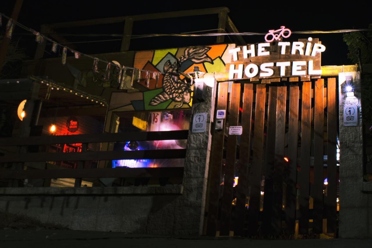 The Trip Hostel Punta del Este Eksteriør billede